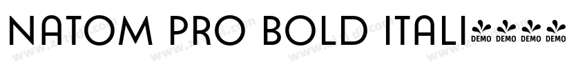 Natom Pro Bold itali字体转换